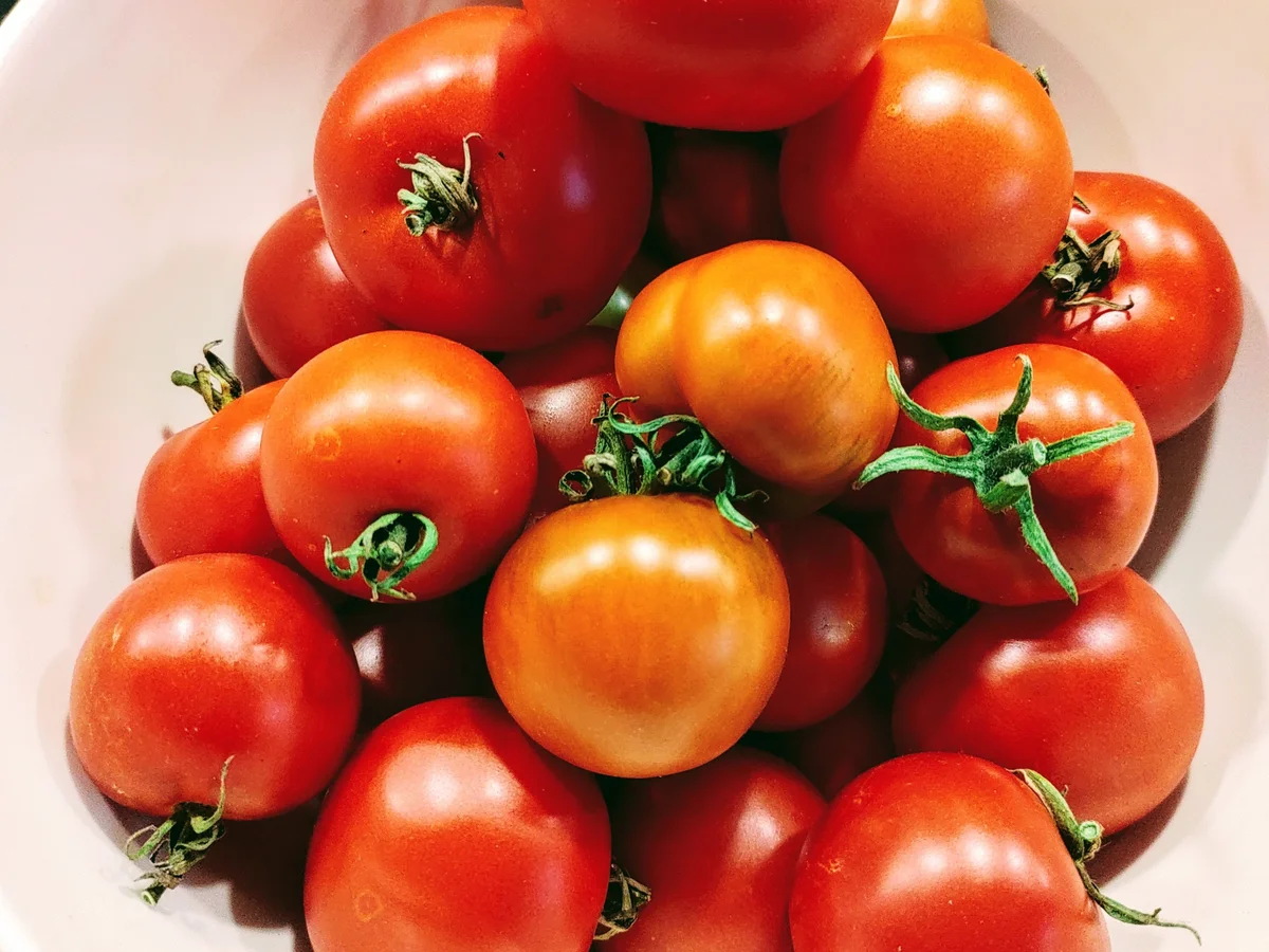 Rezept: Pinsa romana Bild Nr. 6 Pinsa romana - Rezept - Bild Nr. 6