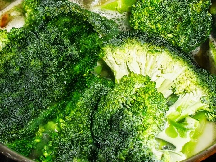 Entrecôte mit Pfeffer-Cognac-Soße- kulinarische Weltreise - Rezept - Bild Nr. 14554