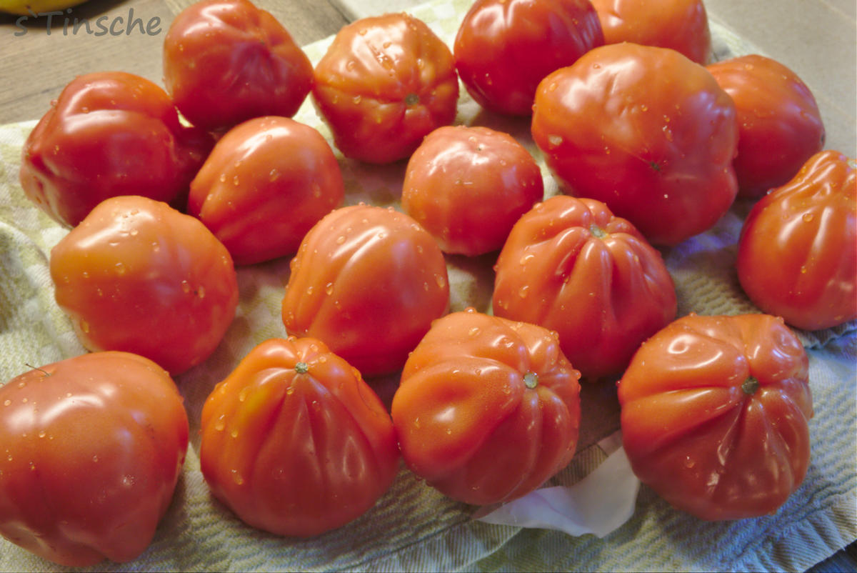 Tomatensoße eingeweckt - Rezept - Bild Nr. 2