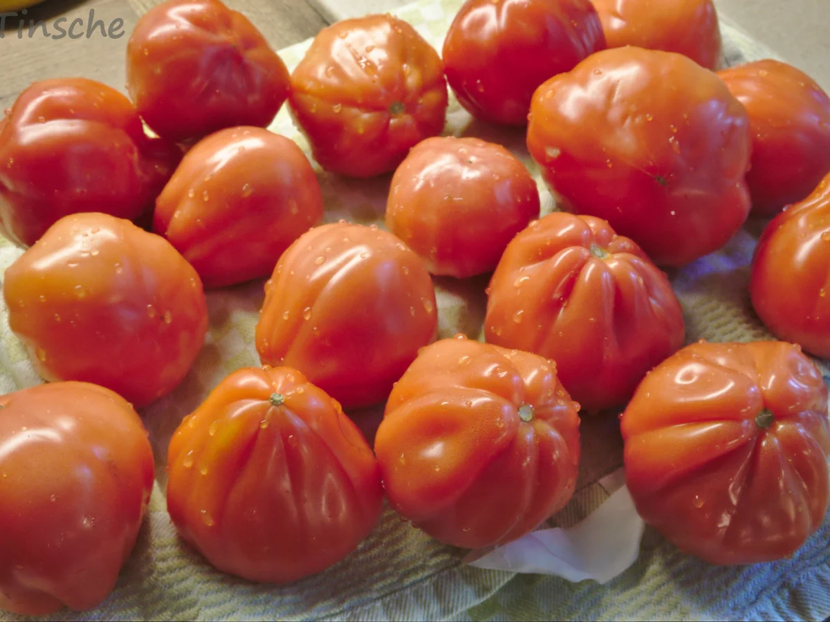 Tomatensoße eingeweckt - Rezept - Bild Nr. 2