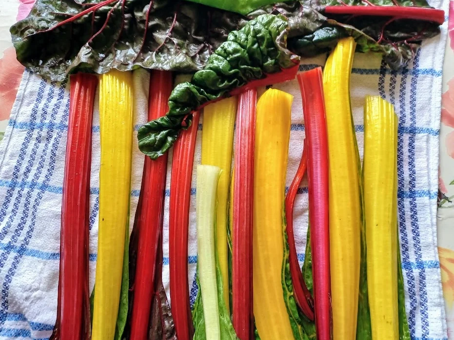 Nudeln in Mangold-Sahne-Soße - Rezept - Bild Nr. 7