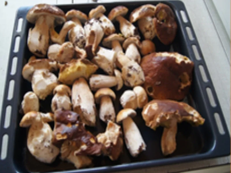 Topinky mit Steinpilzpfanne - Rezept - Bild Nr. 3