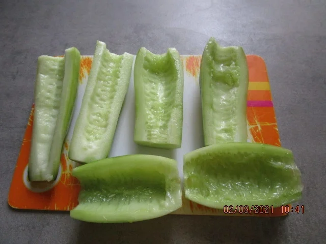 Gurkensalat mit Creme Fraîche und Dill - Rezept - Bild Nr. 14599