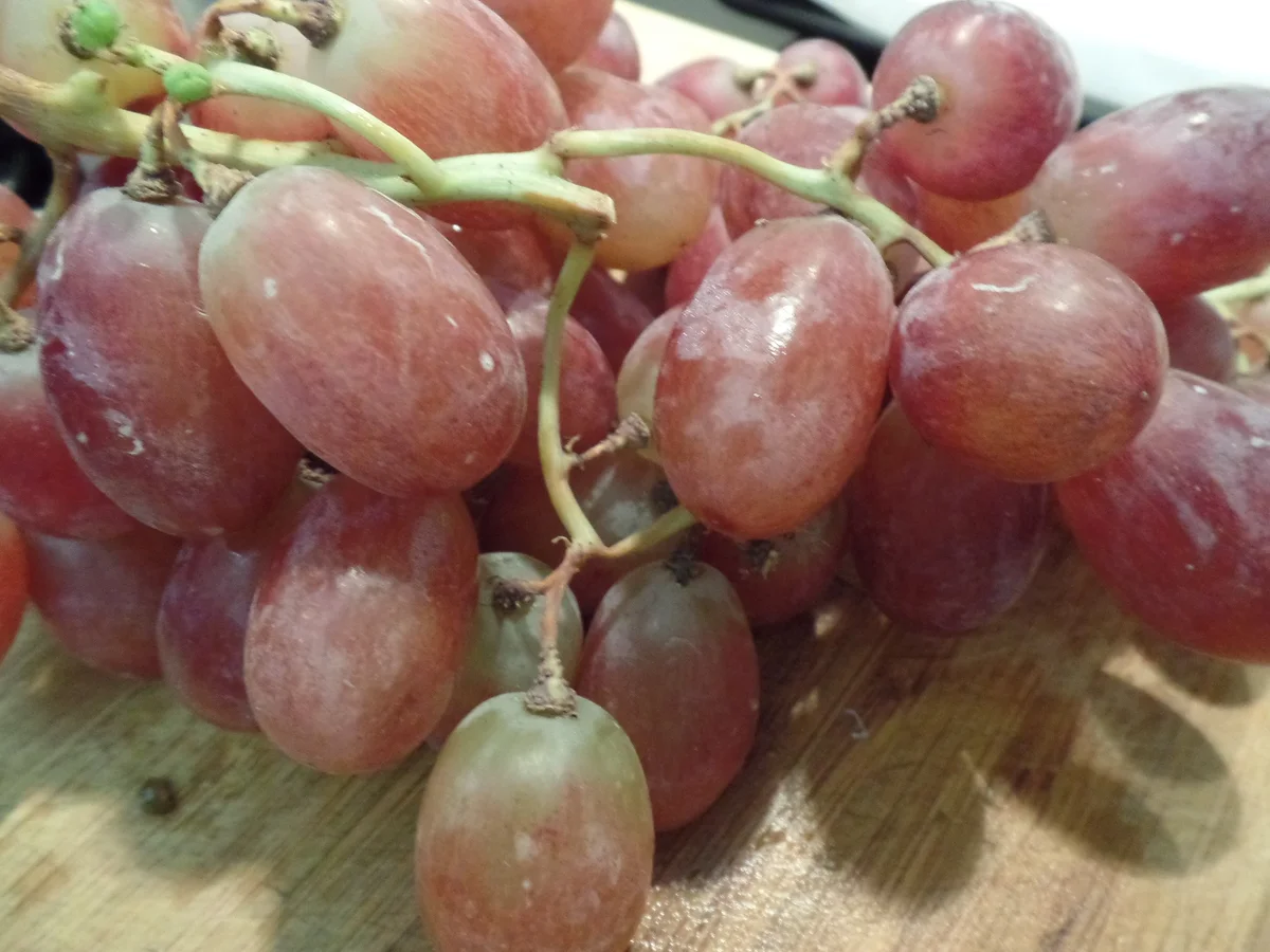 Weintrauben-Brie-Tarte - Rezept - Bild Nr. 14603