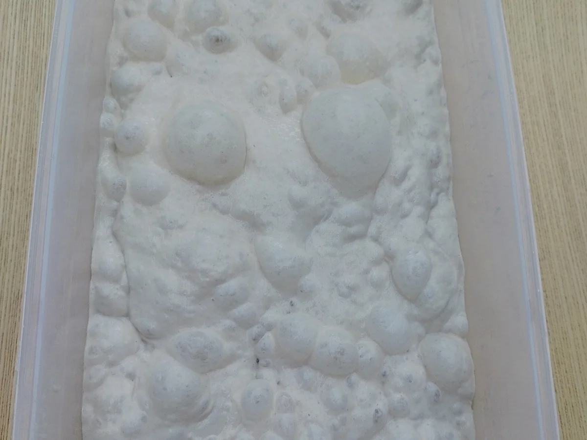 Baguette - Rezept - Bild Nr. 14597