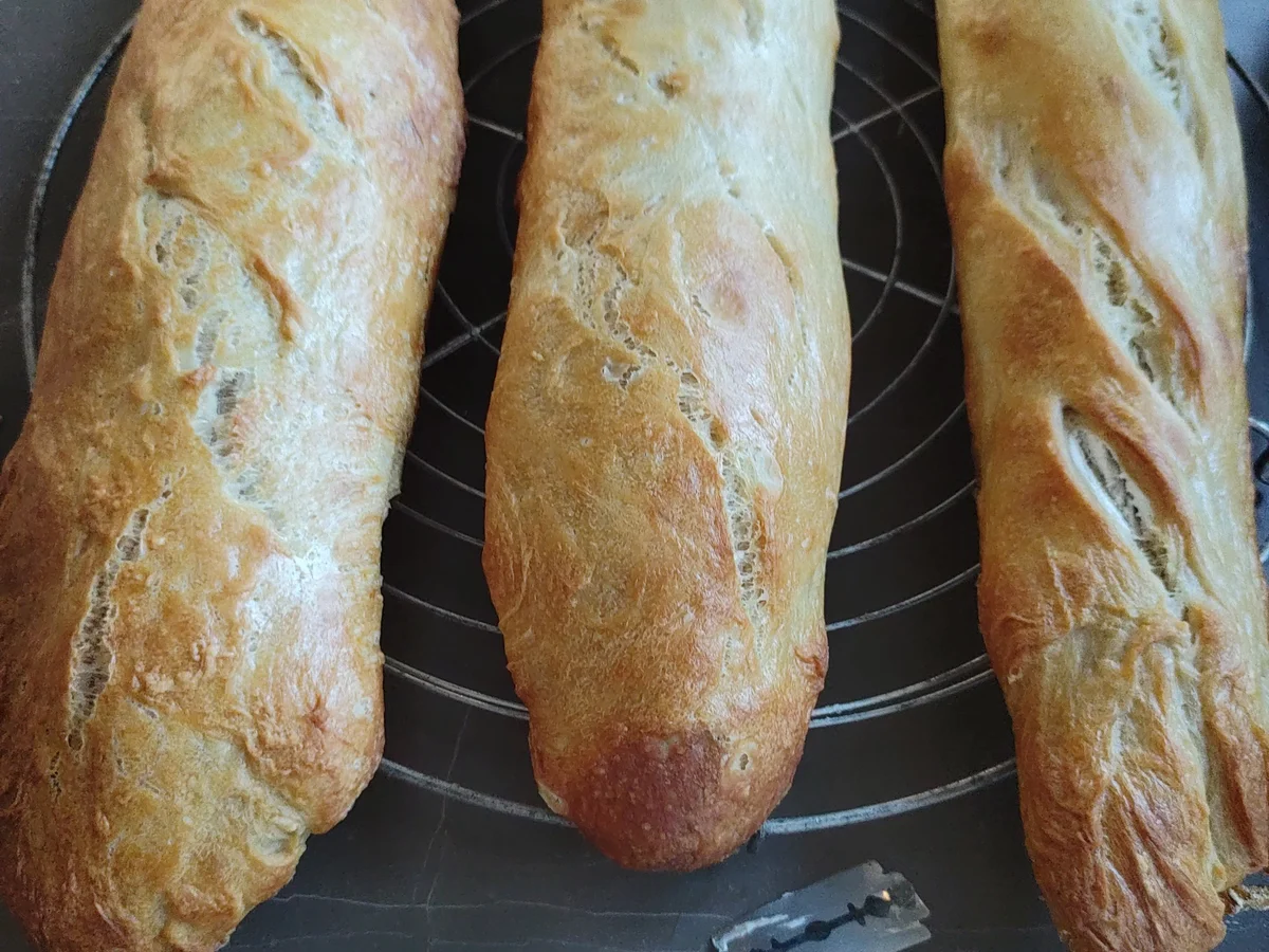 Baguette - Rezept - Bild Nr. 14604