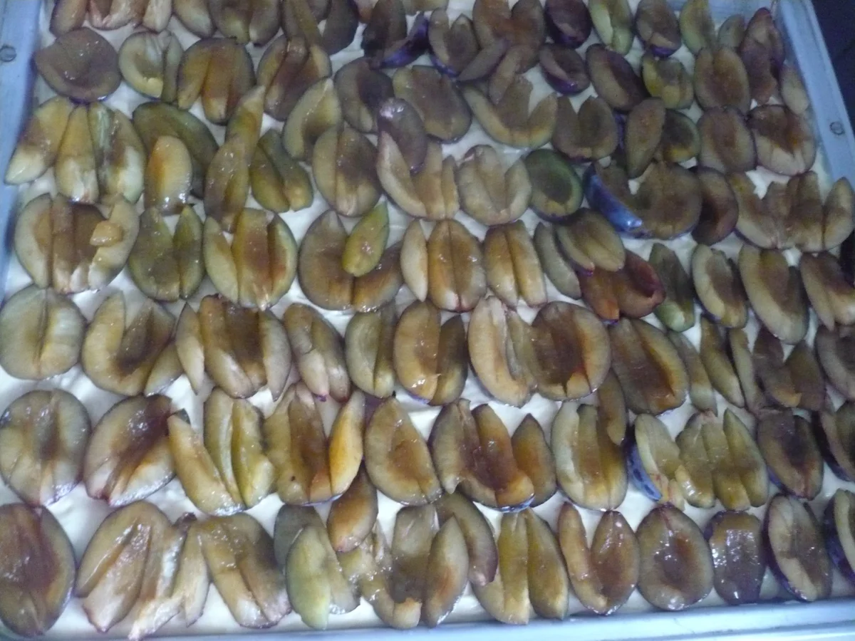 Zwetschenkuchen - Rezept - Bild Nr. 6