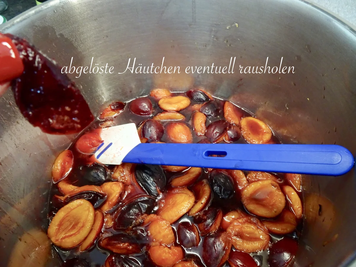 beschwipster Zwetschgen Röster - Rezept - Bild Nr. 14616