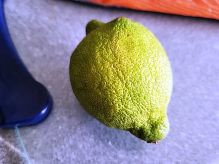 Fischbrötchen XXL "Exquisit" zur kochbar Challenge September 2021 - Rezept - Bild Nr. 14620