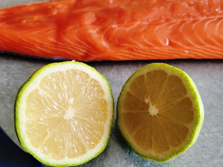 Fischbrötchen XXL "Exquisit" zur kochbar Challenge September 2021 - Rezept - Bild Nr. 14621