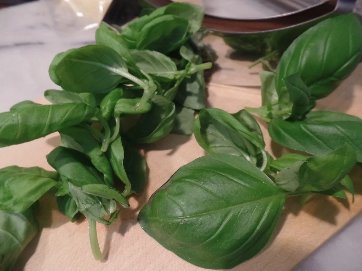 Tagliatelle mit Thunfisch-Tomatensauce - Rezept - Bild Nr. 14670