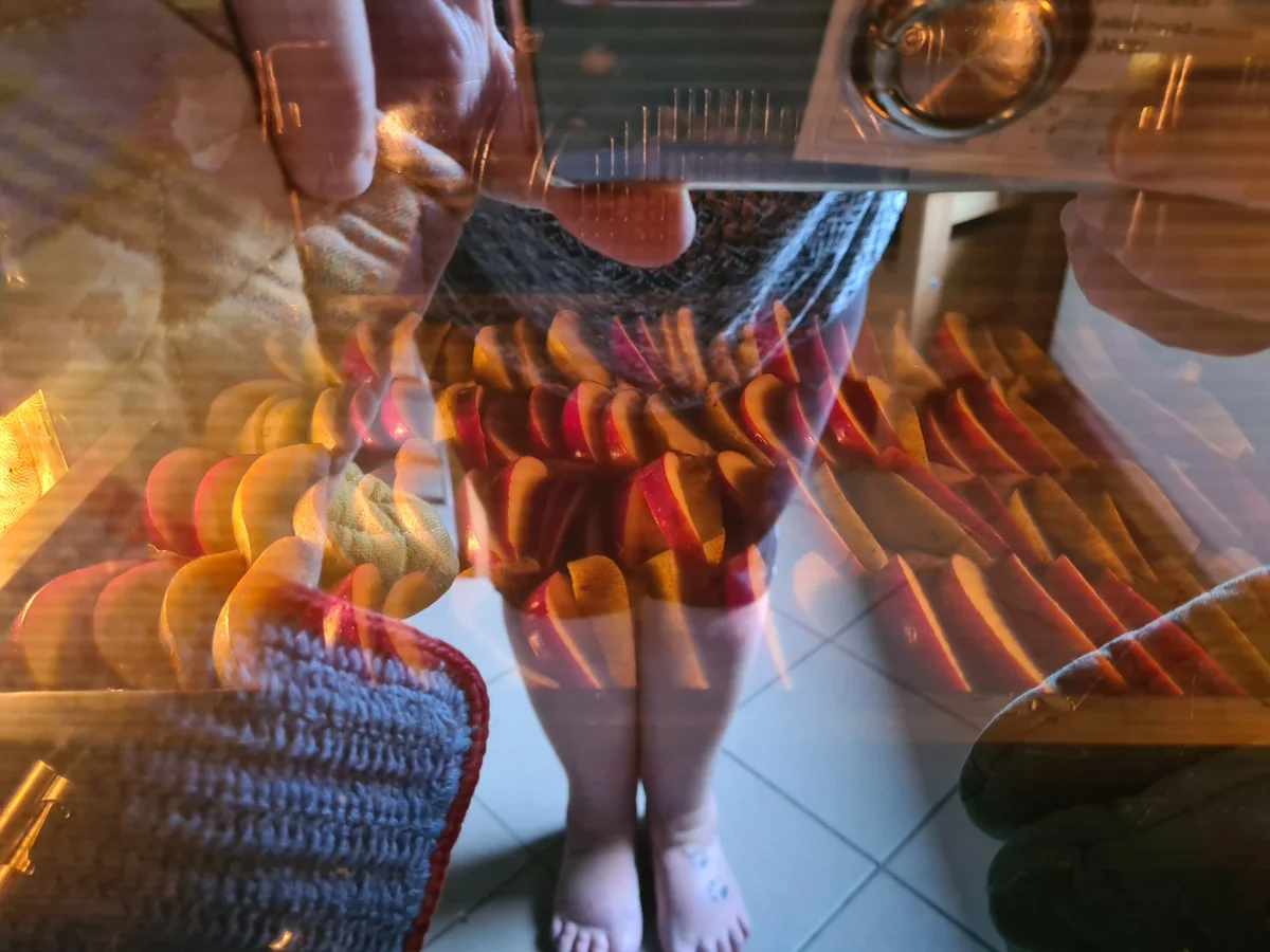 Veganer Apfel-Birnen-Kuchen - Rezept - Bild Nr. 14677