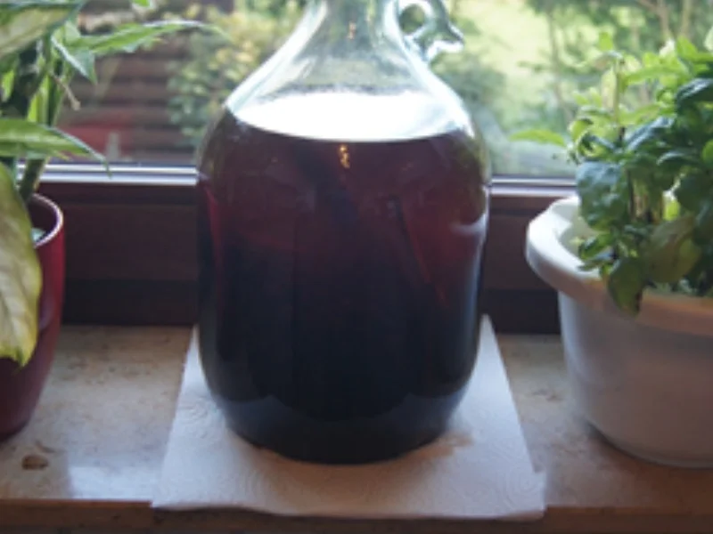 Schlehenlikör 2021 - Rezept - Bild Nr. 2