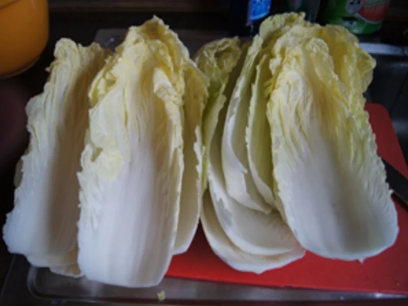 Chinakohl Rouladen mit pikanter Sauce - Rezept - Bild Nr. 14686