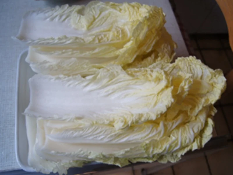 Chinakohl Rouladen mit pikanter Sauce - Rezept - Bild Nr. 14687