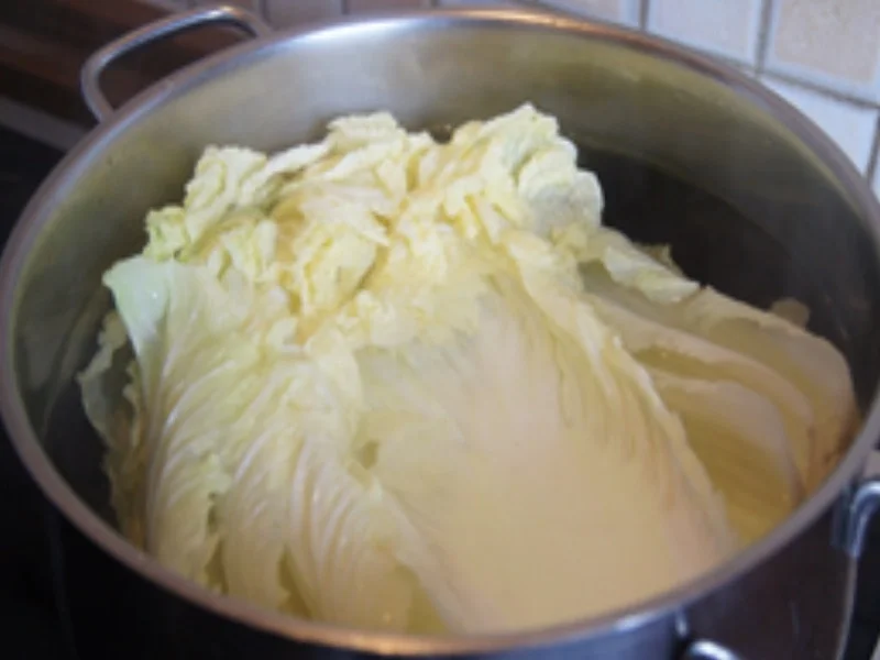 Chinakohl Rouladen mit pikanter Sauce - Rezept - Bild Nr. 14688