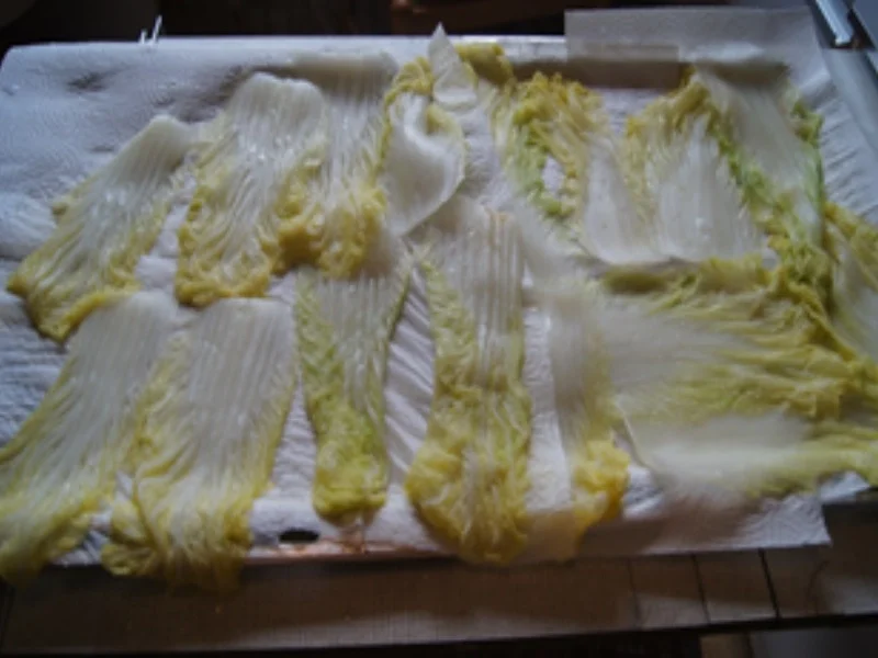 Chinakohl Rouladen mit pikanter Sauce - Rezept - Bild Nr. 14689