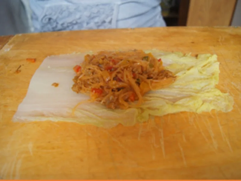 Chinakohl Rouladen mit pikanter Sauce - Rezept - Bild Nr. 14695