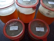 Fette Rinderbrühe - Rezept - Bild Nr. 14690