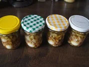 Spanferkelsülze im Glas - Rezept - Bild Nr. 14689