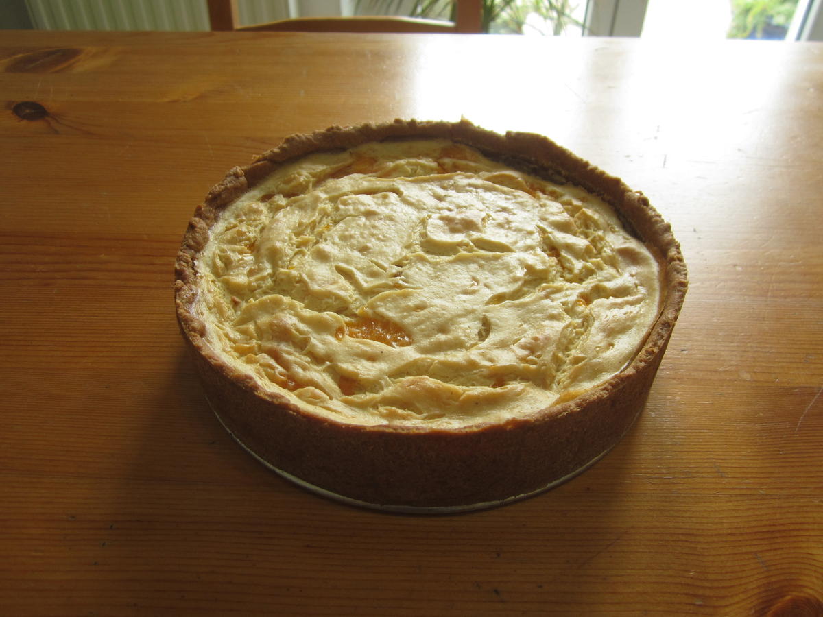 Veganer Mandarinen-Quark-Kuchen - Rezept - Bild Nr. 14696