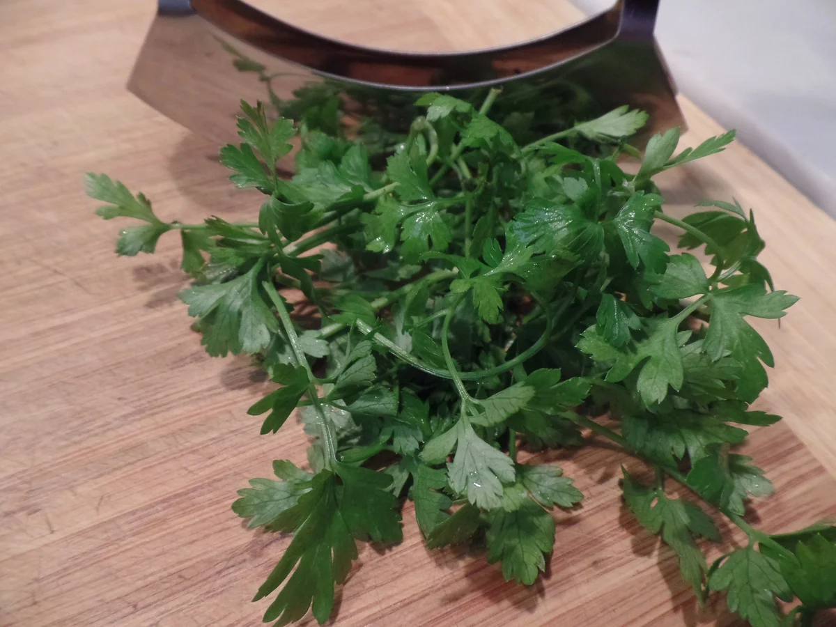 Rezept: Pilz-Nudeln Bild Nr. 14701 Pilz-Nudeln - Rezept - Bild Nr. 14701