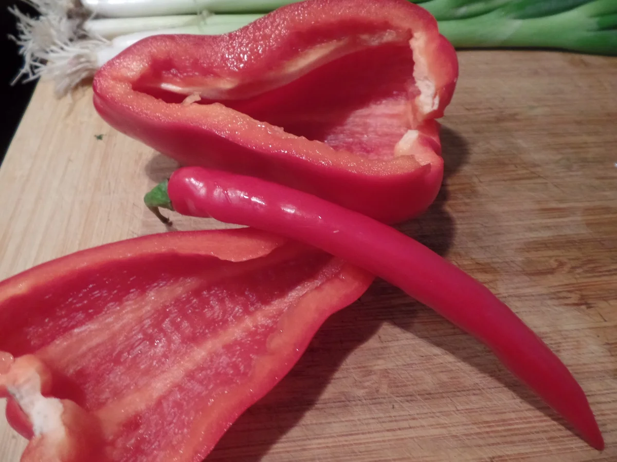 Rezept: Sauer-Scharf-Suppe Bild Nr. 14703 Sauer-Scharf-Suppe - Rezept - Bild Nr. 14703