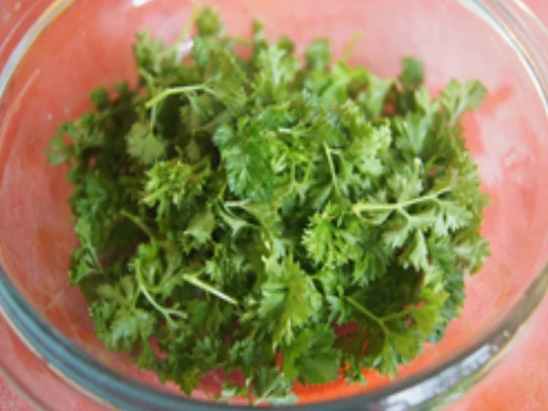 Herzhafte Steinpilzpfanne mit Servietten Knödeln - Rezept - Bild Nr. 14708