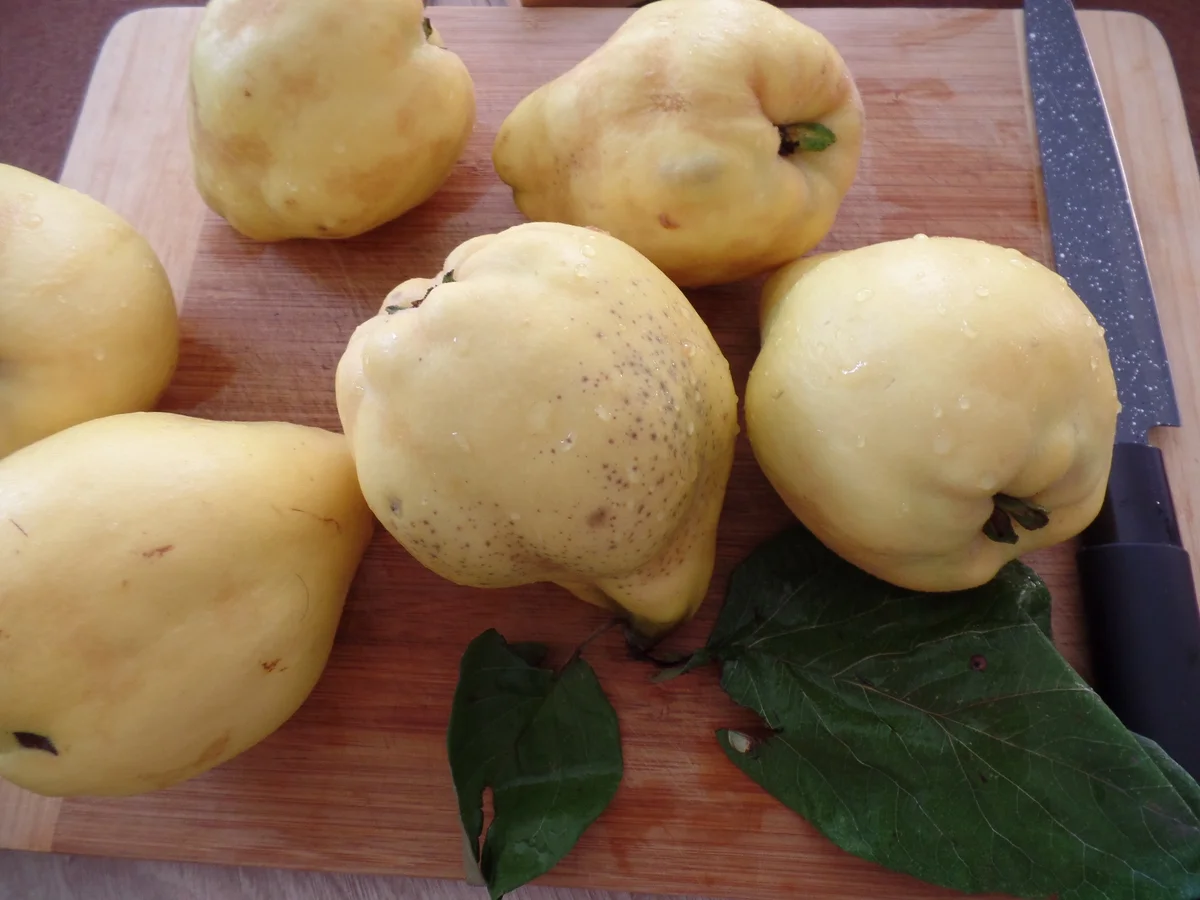 Rezept: Quitten-Marmelade Bild Nr. 14700 Quitten-Marmelade - Rezept - Bild Nr. 14700