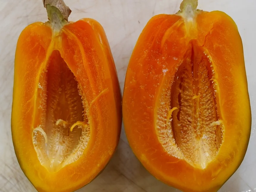 Gebackene Papaya – Baked pawpaw - Rezept - Bild Nr. 14700