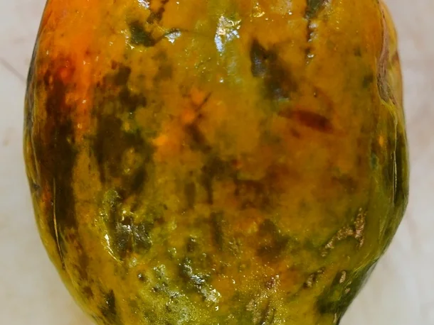 Gebackene Papaya – Baked pawpaw - Rezept - Bild Nr. 14702