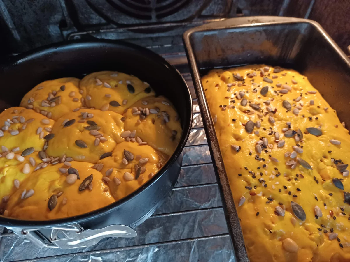 Kürbisbrot - Rezept - Bild Nr. 14712