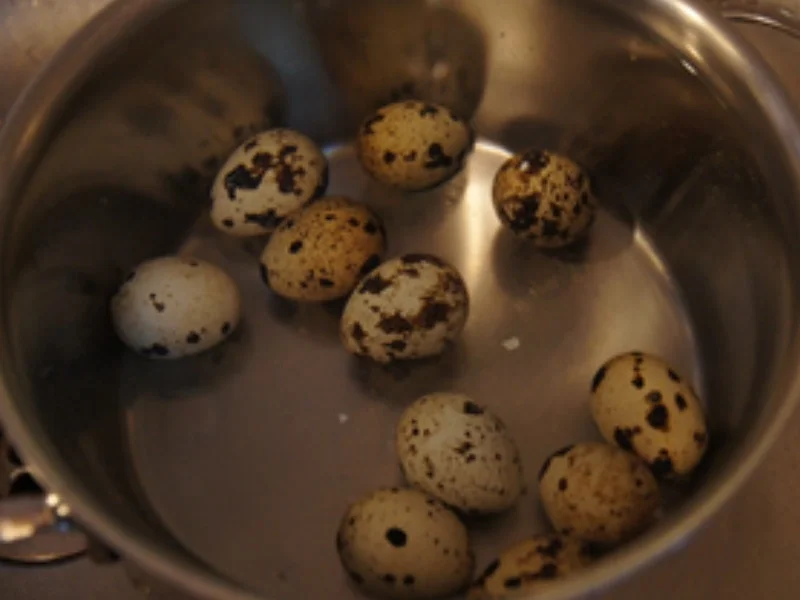 Rote-Bete-Suppe mit Fleischwurst und Wachteleiern - Rezept - Bild Nr. 14717