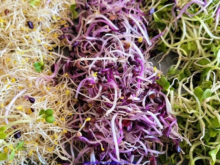 Erntedank zur kochbar Challenge Oktober 2021 - Rezept - Bild Nr. 14739