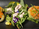 Lachs mit Avocado und Jakobsmuschel - Rezept - Bild Nr. 14753