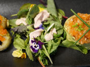 Lachs mit Avocado und Jakobsmuschel - Rezept - Bild Nr. 14753