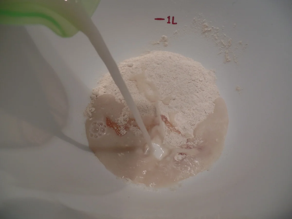 Lauch-Speck-Fladenbrot "Dinnete - Rezept - Bild Nr. 14794