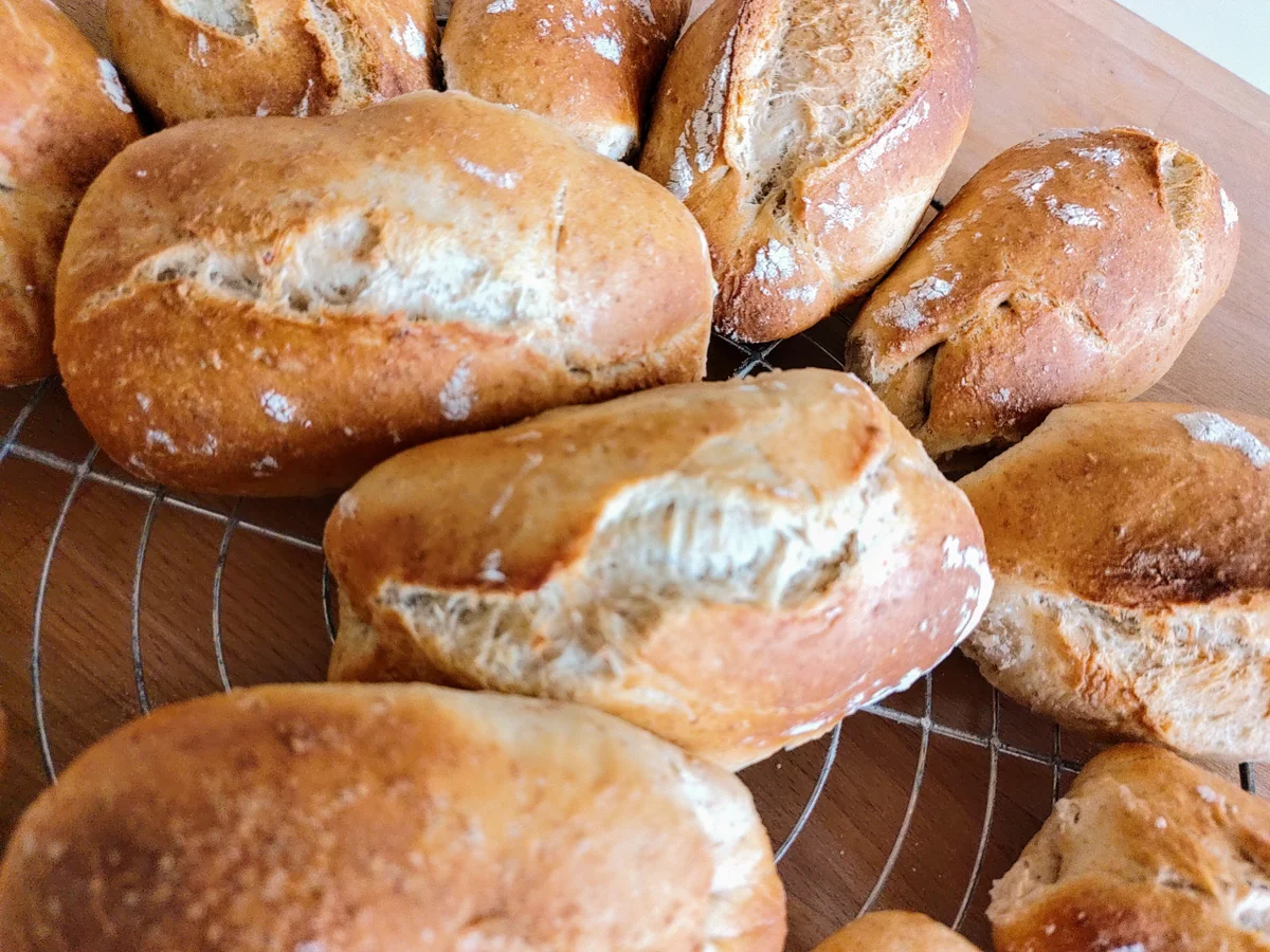 Brötchen: Dinkelkrusti over night - Rezept - Bild Nr. 14793