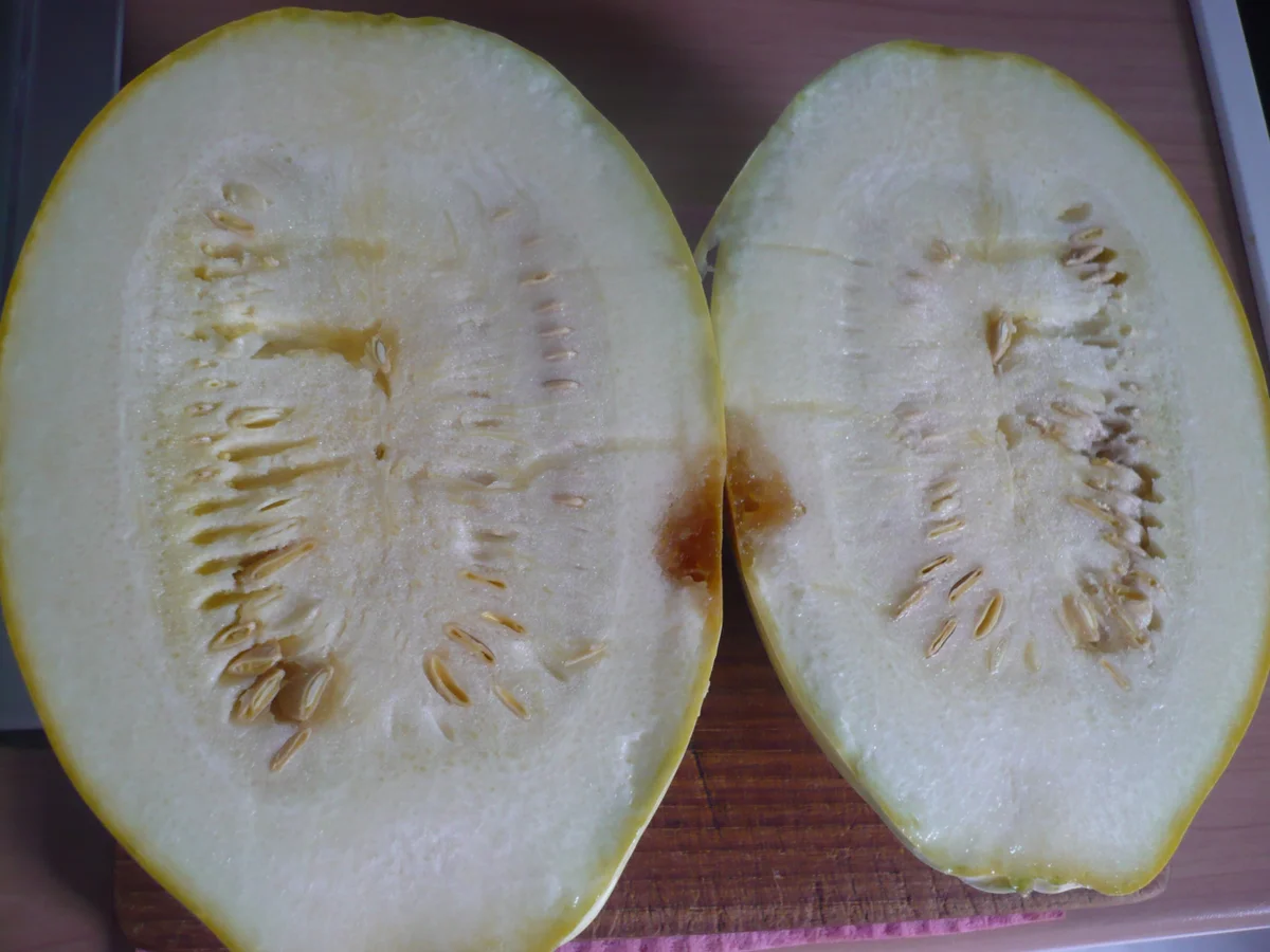 Gefüllter Spaghetti - Kürbis - Rezept - Bild Nr. 14834