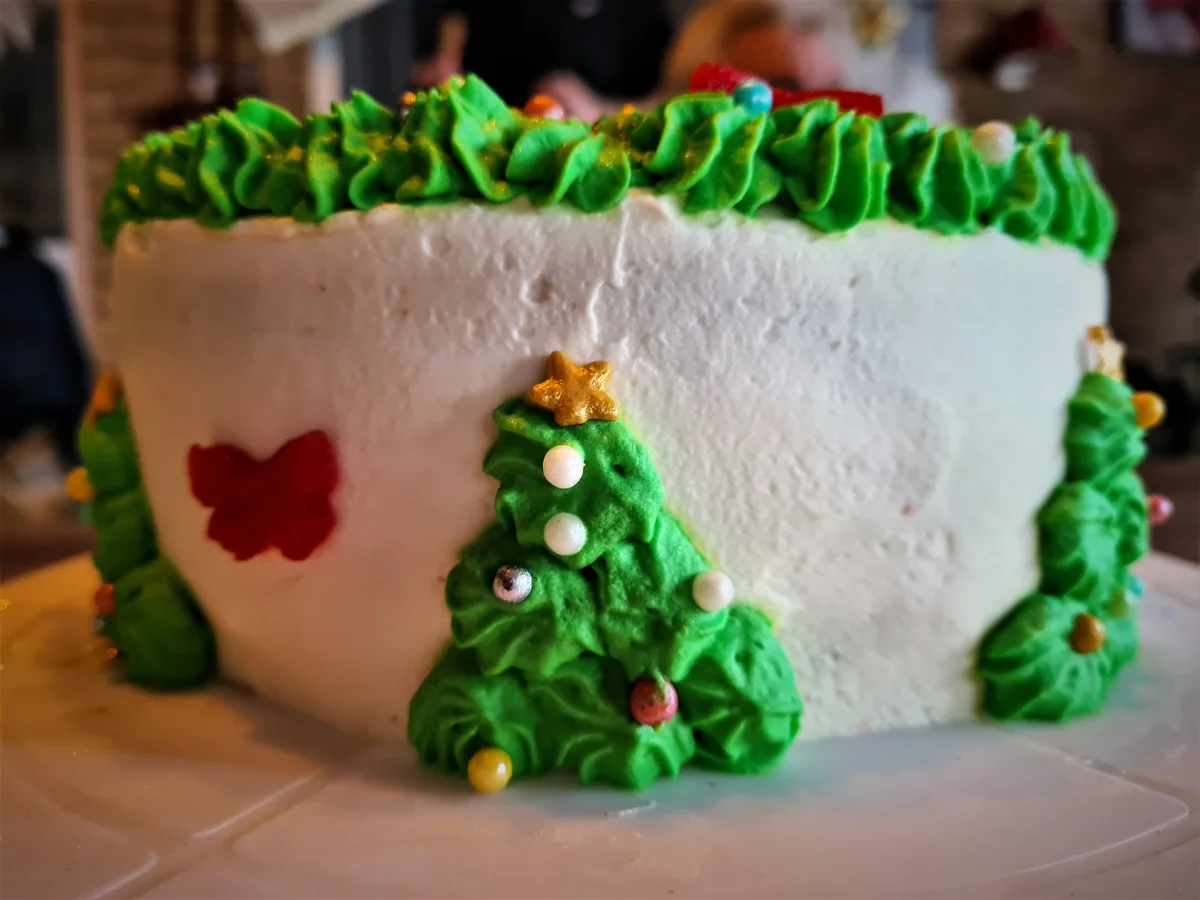 Geburtstagstorte Kokos- Frischkäse Torte - Rezept - Bild Nr. 15291