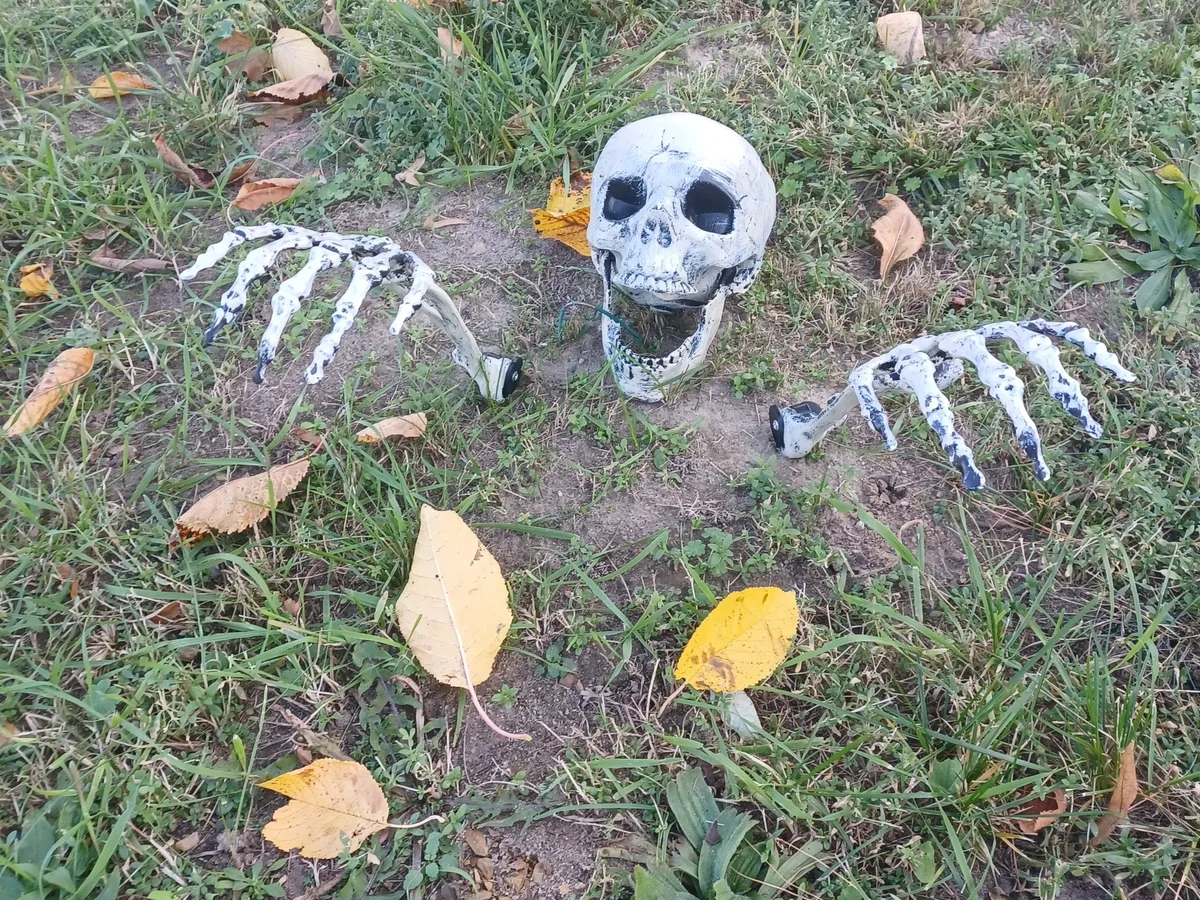 Halloween - Gespenster - Rezept - Bild Nr. 14851