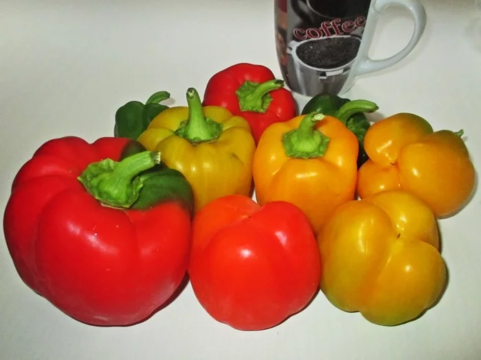 Paprika Kartoffeltopf mit Fischfilet - Rezept - Bild Nr. 14880