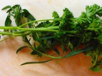 Rezept: Weißkrauteintopf mit Hackfleisch Bild Nr. 14 Weißkrauteintopf mit Hackfleisch - Rezept - Bild Nr. 14