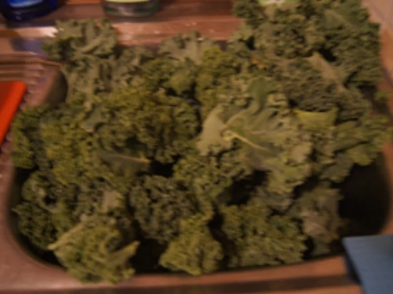 Grünkohl 2021 mit Kassler Nacken, Bregenwurst und Salzkartoffeln - Rezept - Bild Nr. 4