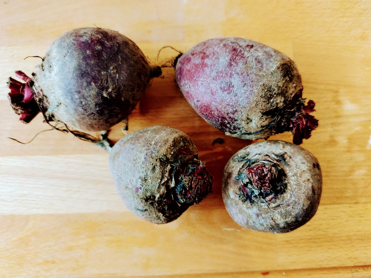 Rote Bete Salat - Rezept - Bild Nr. 3