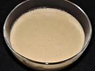 Hirtenkäse-Wirsing-Knoblauch-Sauce - Rezept - Bild Nr. 14886