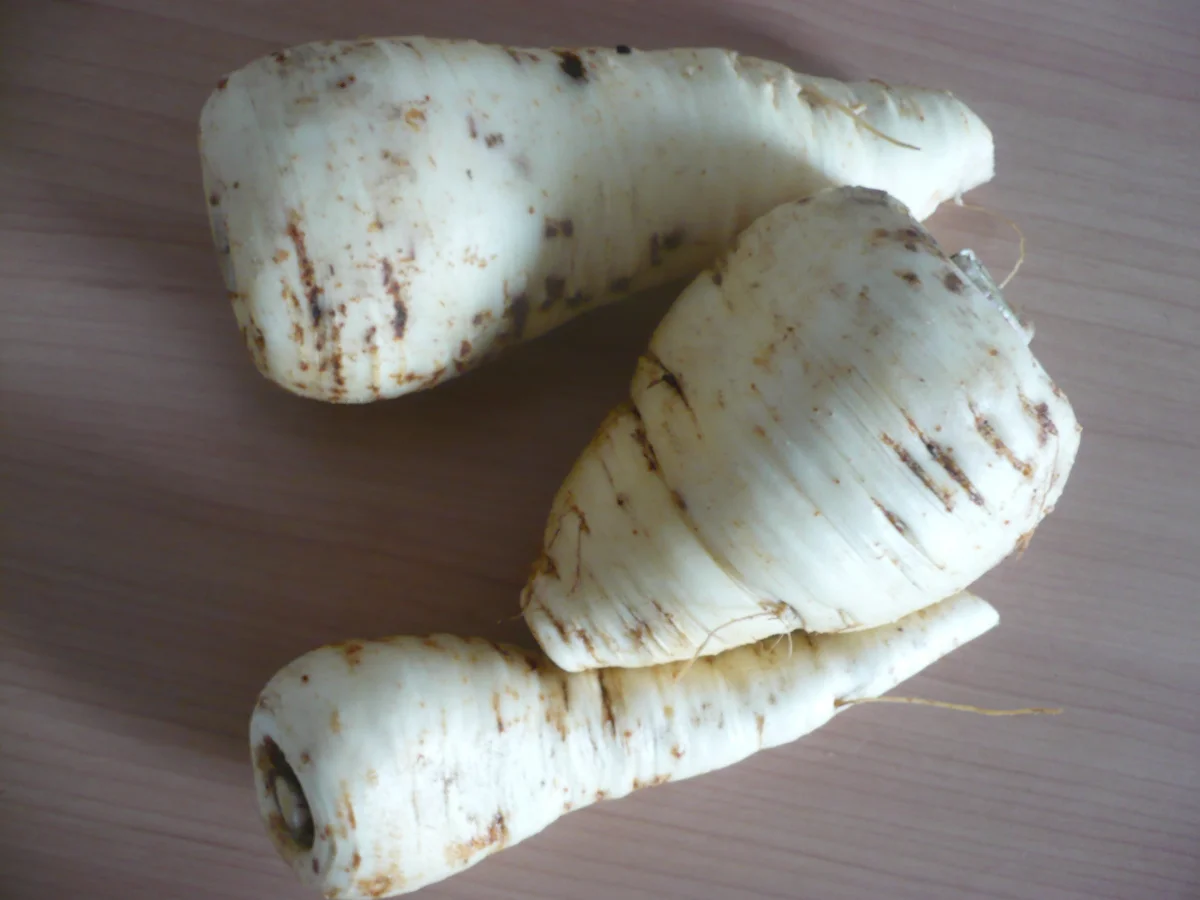 Pastinakengemüse mit Lachsforelle - Rezept - Bild Nr. 14887