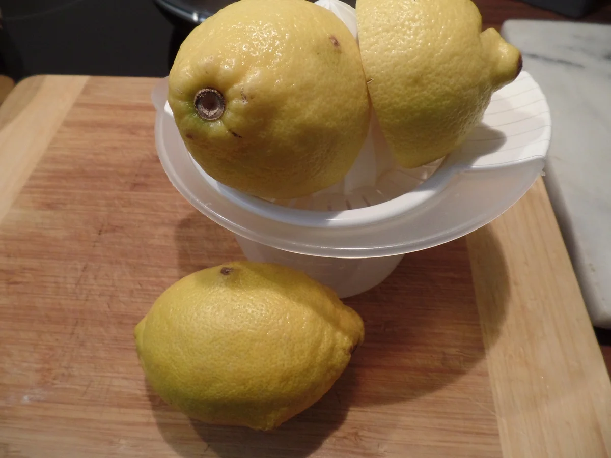 Rezept: Zitronen-Ingwer-Likör Bild Nr. 14895 Zitronen-Ingwer-Likör - Rezept - Bild Nr. 14895