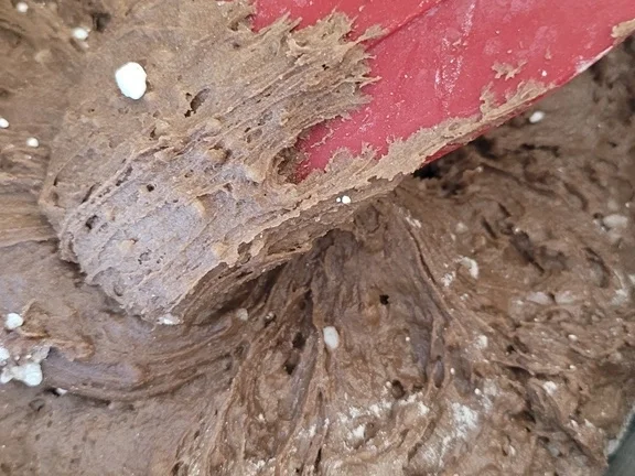 Rezept: Oecher Printen à la Biggi zur kochbar Challenge November 2021 Bild Nr. 14937 Oecher Printen à la Biggi zur kochbar Challenge November 2021 - Rezept - Bild Nr. 14937