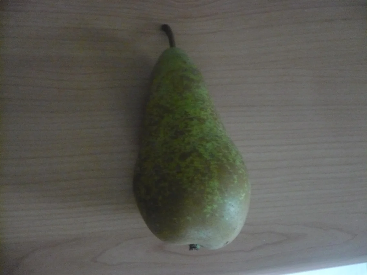 Pastinakensuppe mit Gorgonzola - Rezept - Bild Nr. 14952